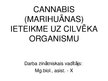 Eseja 'Marihuanas ietekme uz centrālo nervu sistēmu', 19.