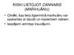 Eseja 'Marihuanas ietekme uz centrālo nervu sistēmu', 25.