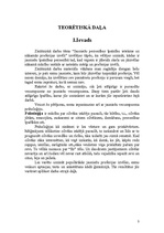 Referāts 'Jauniešu personības īpatnību ietekme uz nākamās profesijas izvēli', 3.