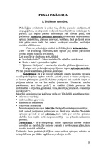 Referāts 'Jauniešu personības īpatnību ietekme uz nākamās profesijas izvēli', 23.