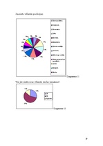 Referāts 'Jauniešu personības īpatnību ietekme uz nākamās profesijas izvēli', 29.