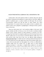 Referāts 'Mazumtirdzniecības uzņēmuma "Depo" tēls', 4.