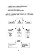 Konspekts 'Mākslas pedagoģija', 8.