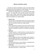 Referāts 'Matu maskas', 6.