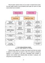 Diplomdarbs 'Dabas resursu nodoklis', 45.