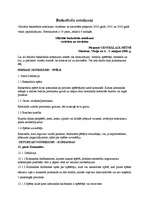 Referāts 'Basketbols', 5.