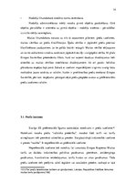 Referāts 'Muitas maksājumu administrēšana Latvijas muitā', 14.