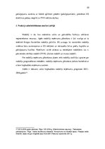 Referāts 'Muitas maksājumu administrēšana Latvijas muitā', 20.