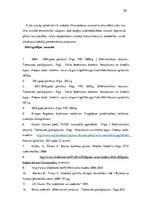 Referāts 'Muitas maksājumu administrēšana Latvijas muitā', 28.