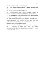 Referāts 'Muitas maksājumu administrēšana Latvijas muitā', 29.