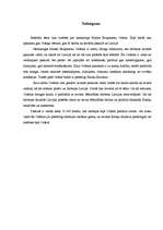 Referāts 'Maltas neatkarīgais bruņinieku ordenis', 12.