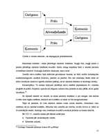 Diplomdarbs 'Sociālā rehabilitācija atkarīgajiem kristīgā kopienā', 31.
