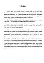 Referāts 'Cilvēku evolūcija', 3.