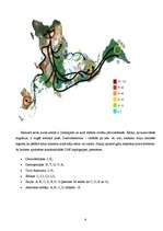 Referāts 'Cilvēku evolūcija', 6.