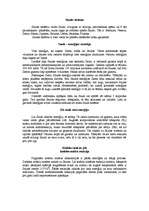 Referāts 'Saule', 3.