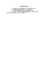 Referāts 'Saule', 6.