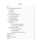 Referāts 'Hip - hop kultūra Latvijā - izklaide vai dzīvesveids', 4.