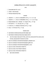 Referāts 'Hip - hop kultūra Latvijā - izklaide vai dzīvesveids', 29.