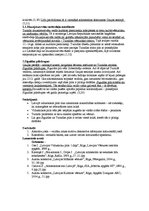 Konspekts 'Latvijas viduslaiku pilis. Turaidas pils. Siguldas pilsdrupas', 2.