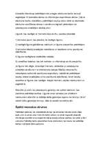 Referāts 'E-komercija', 5.