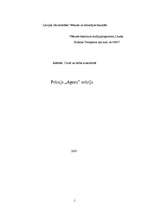 Referāts 'Prāmja "Agora" avārija', 1.