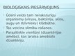 Prezentācija 'Hidrosfēras piesārņojums', 5.