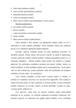 Referāts 'Nodokļu kontroles vispārīgs raksturojums', 5.