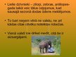 Prezentācija 'Āfrikas dabas problēmas', 11.