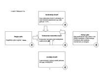 Konspekts 'Lietišķā spēle', 6.