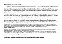 Prakses atskaite 'Kvalifikācijas prakse', 19.