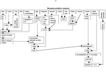 Prakses atskaite 'Kvalifikācijas prakses atskaite', 24.