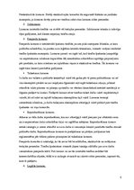 Referāts 'Autortiesības. Licences', 5.