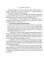 Referāts 'Inventarizācijas tiesiskā reglamentācija un norises problēmas', 11.