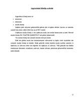 Prakses atskaite 'Grāmatvedības prakses atskaite', 22.