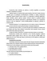 Prakses atskaite 'Grāmatvedības prakses atskaite', 25.