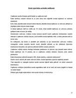 Prakses atskaite 'Grāmatvedības prakses atskaite', 27.