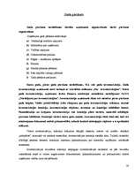 Prakses atskaite 'Grāmatvedības prakses atskaite', 28.