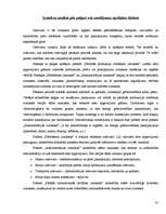 Prakses atskaite 'Grāmatvedības prakses atskaite', 41.