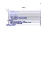 Referāts 'Sociālās drošības sistēmas novērtējums', 3.