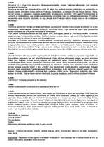 Prezentācija 'Renesanse - Džordžone', 14.