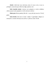 Referāts 'Latvijas iedzīvotāju attieksme pret bēgļiem', 7.