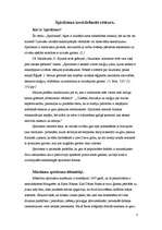 Referāts 'Jaunās reliģiskās kustības', 3.