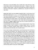 Referāts 'Enerģētikas veidi un enerģētika Latvijā', 33.