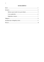 Referāts 'Reklāmas nozares tiesiskā regulējuma problemātika', 2.