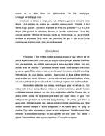 Referāts 'Pirts', 7.