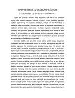 Referāts 'Pirts', 8.