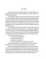 Referāts 'Sociālā mijiedarbība jeb sociālā interakcija', 7.