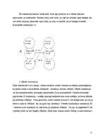 Referāts 'Sociālā mijiedarbība jeb sociālā interakcija', 15.