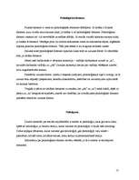 Referāts 'Sociālā mijiedarbība jeb sociālā interakcija', 17.