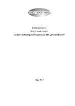 Referāts 'Audita veikšanas process uzņēmumā SIA "Dienas Bizness"', 1.